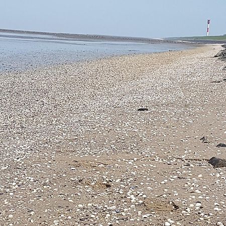 Haus Am Meer Eckwarden Butjadingen Dış mekan fotoğraf
